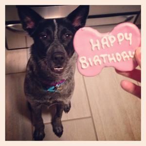 Meet your Posher, Ginny